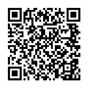 已经让他在天龙王朝的王室有着举足轻重的作用二维码生成