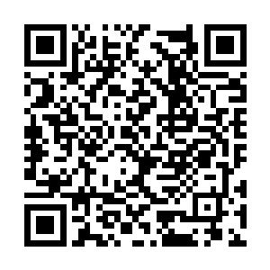 已经让整个金乌商团系统都不敢质疑他的任何命令二维码生成