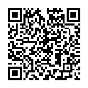 已经让这些老牌机甲师再也不会对她的事情感到惊讶诧异了二维码生成
