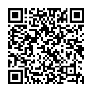 已经走到门口的两个女人中略显丰腴的那位忍不住叫了起来二维码生成