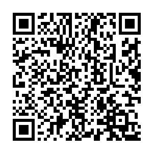 已经足够地球意志将红极星刚才侵入它体内的闪电统统抹杀和排除二维码生成