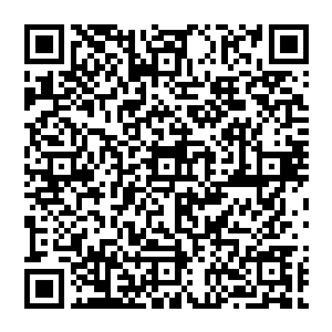 已经足够让她在奥巴马内阁中谋取一个职位了――如果我们的总统形象顾问有她这么厉害的话二维码生成