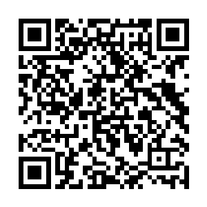 已经足够风苍梧带着廷尉府的那两个高手飞出很远了二维码生成