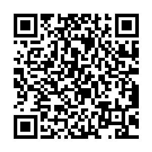 已经躲到光明圣师工会会长身后的云天脸色变得苍白二维码生成