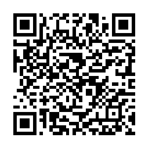 已经达到了一个让黑白元宫绝世强者都要仰望的地步二维码生成
