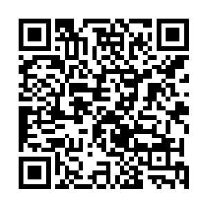 已经近乎下意识地就补足了这蛇妖那曼妙玲珑的窈窕身姿二维码生成