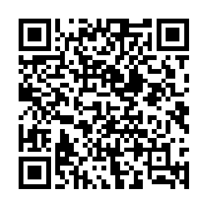 已经远远地超过了他刚才服用的三颗培元丹的药力二维码生成