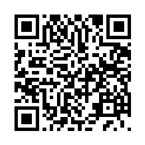 已经连着一周多都在一片小树林里打转了二维码生成