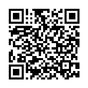 已经追上了紫晶翼狮王那头老狮子二维码生成