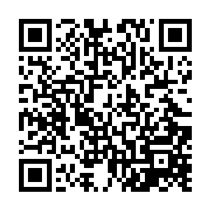 已经追赶到十几步之远的杨开分明看到张若惜的一头黑发二维码生成