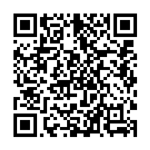 已经选择夜行人作为进阶职业并且成为了暗夜主宰的二维码生成