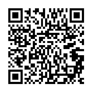 已经长久不和木城接触的长生木族松族竟然再次出现在木城神殿二维码生成