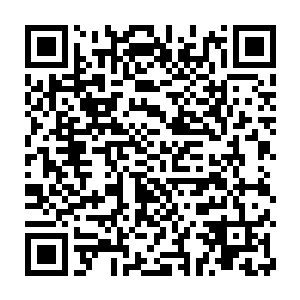 已经长成少年的江榆一脸严肃地跑到他的面前说要消掉脸上的伤疤二维码生成