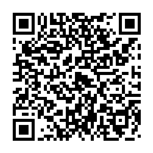 已经陆续有应征成功接到通知的人返回了鬼市总镇府正式归于麾下二维码生成