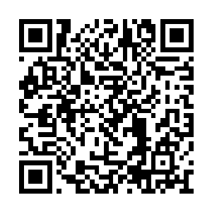 已经顺利的被炼化为十八地狱冥珠的第一头鬼王二维码生成