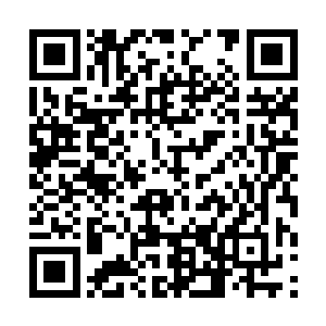 已经顾不上那么多了……哪怕明知道前方是刀山火海二维码生成