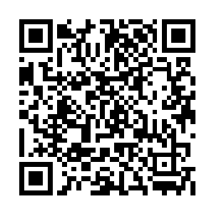 已经领悟到了雷霆法则的前三重意境――死之力二维码生成