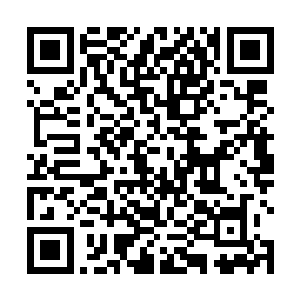 已经驾驶着超时空魔球冲进了时间长河的熊孩子和楚旬二维码生成