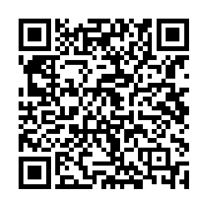 已经骑在了那静止不动的火羽仙鹤头颈之中哈哈大笑二维码生成