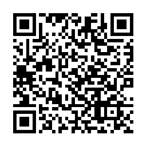 巳肯定不会想到他会躲到组织押送奴隶的队伍里面去二维码生成