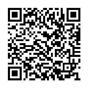 巴不得全中海都知道老子把你这妖精勾上床了么二维码生成