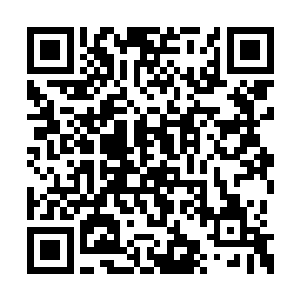 巴不得顾锦朝是那种娇滴滴磕不得碰不得的小姐二维码生成