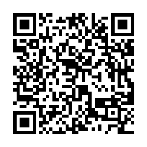 巴克上次跟娜塔莎在加拿大准备搞掉沈家老大的时候二维码生成