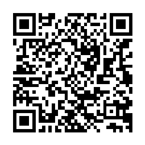 巴克不得不从医疗包里取出一包咖啡因口香糖和一瓶维生药丸二维码生成