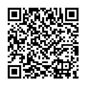 巴克不敢轻举妄动的原因还有就是天似乎都亮了二维码生成