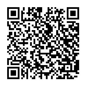 巴克从电视上知道那位犯下滔天大罪的芒康在引渡到华国没多少天就执行枪决了二维码生成