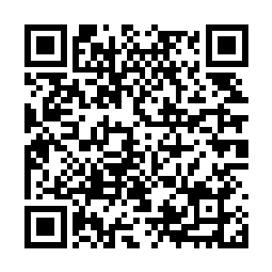 巴克从车头探出去看见越野车和面包车的妖娆走位二维码生成