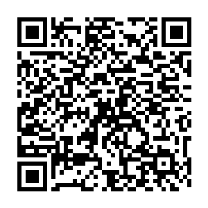 巴克他们当然很乐意跟随这样著名的演艺团队作为掩护离开加拿大二维码生成