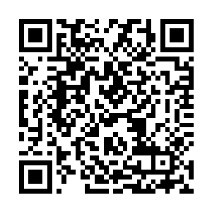 巴克侧头的目的就是让自己眼角处在整个身体的最高点二维码生成