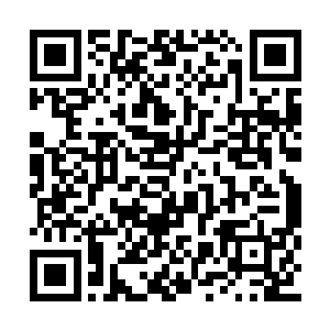 巴克冷冷的看着夜视仪里面晃动的那些灰色身影二维码生成