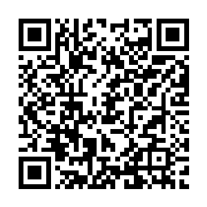 巴克分明能感觉到穿着长袖白t恤的姑娘身上还是有轻微的抖动二维码生成