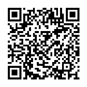 巴克刚看见他们的时候差点都要急着写请战书了二维码生成