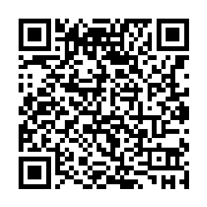 巴克又是个基本回了家就不单独琢磨那些作战计划的二维码生成
