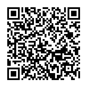 巴克只想说你们扔闪光弹或者说跳窗突突突路边特种兵的时候都没这样刺激疯狂二维码生成