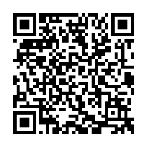 巴克只觉得双手握住的金属物件和钢条都那么烫二维码生成