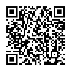 巴克和依旧穿着那身西装的李旭东开始朝着来时路步行二维码生成