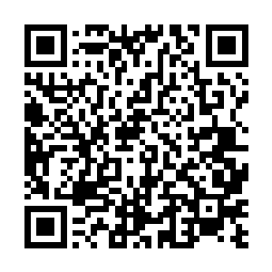 巴克和娜塔莎两口子才慢慢的顺着靶场密林小径走出来二维码生成