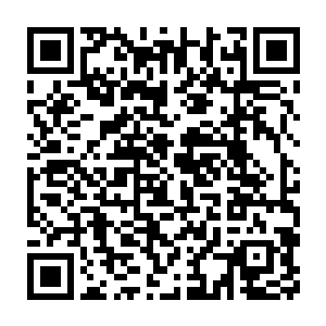 巴克和杜德卡商量得比较多的还是用东欧难民的方式来冲击分散注意力二维码生成