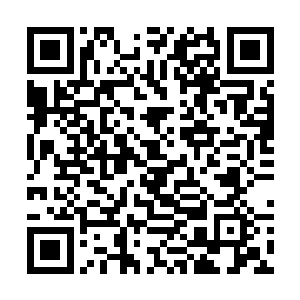 巴克和牟晨菲坐在路边的小咖啡馆惬意的欣赏这一切二维码生成