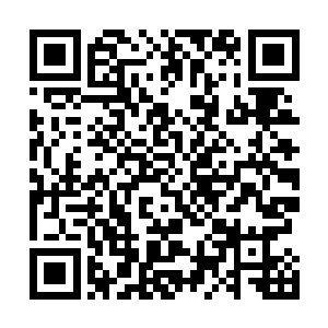 巴克好明显的看见林正元和林东几乎跟自己同步在翻白眼二维码生成