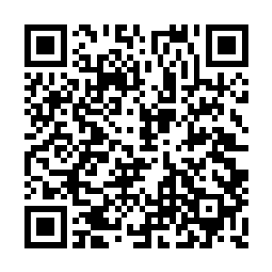 巴克就不得不趴在城镇外的沟壑土坎中匍匐前进二维码生成