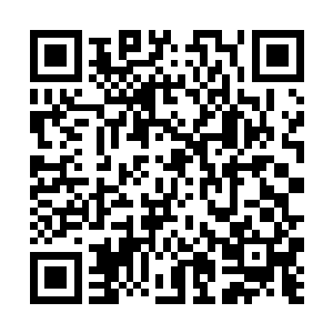 巴克就知道这位爱演戏的地方局领导无事不登三宝殿二维码生成