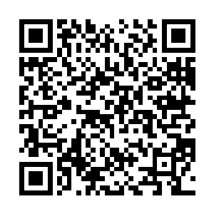 巴克已经抱着那个孩子重新回到那条黑暗的台阶巷道上二维码生成