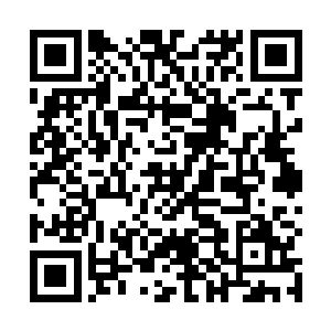 巴克想在她黑衣领衬托得格外白皙光滑的脖子上亲一下二维码生成
