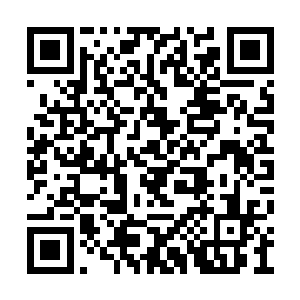 巴克意识到自己这种带着说教的口吻对向婉没用二维码生成