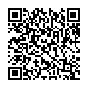 巴克感觉自己手心的小手都情不自禁的同时动了动二维码生成